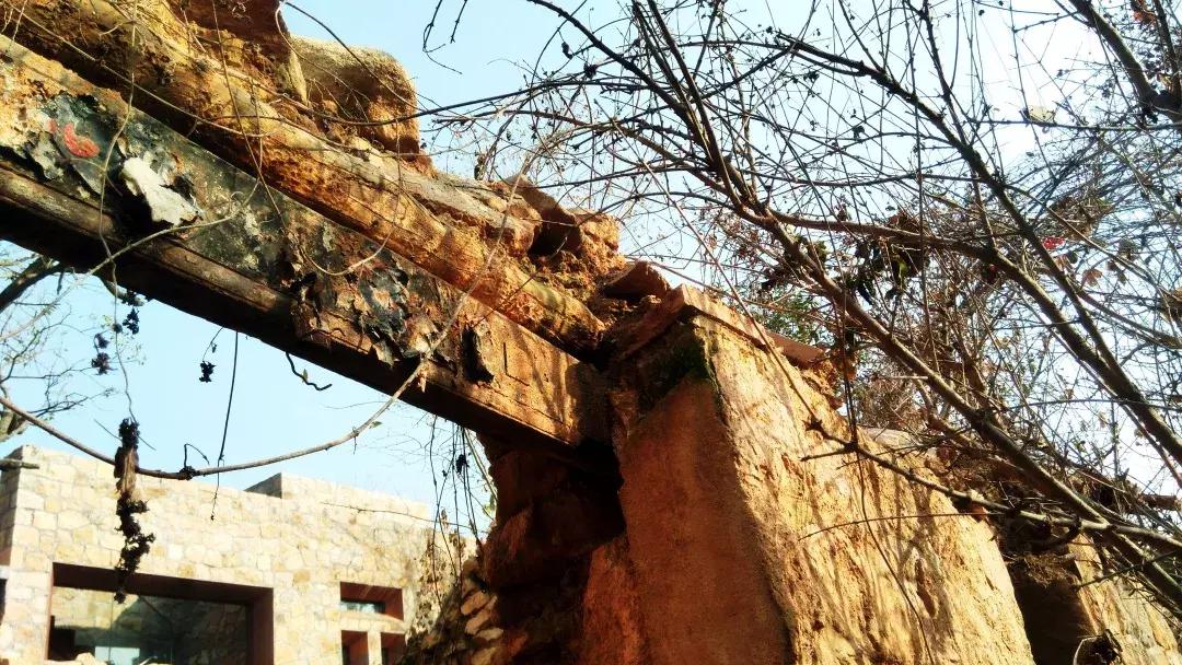 凤凰措古村落,凤凰措古村落设计