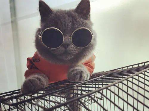 黑眼圈严重怎么办才能彻底去除,黑眼圈严重怎么办快速去除