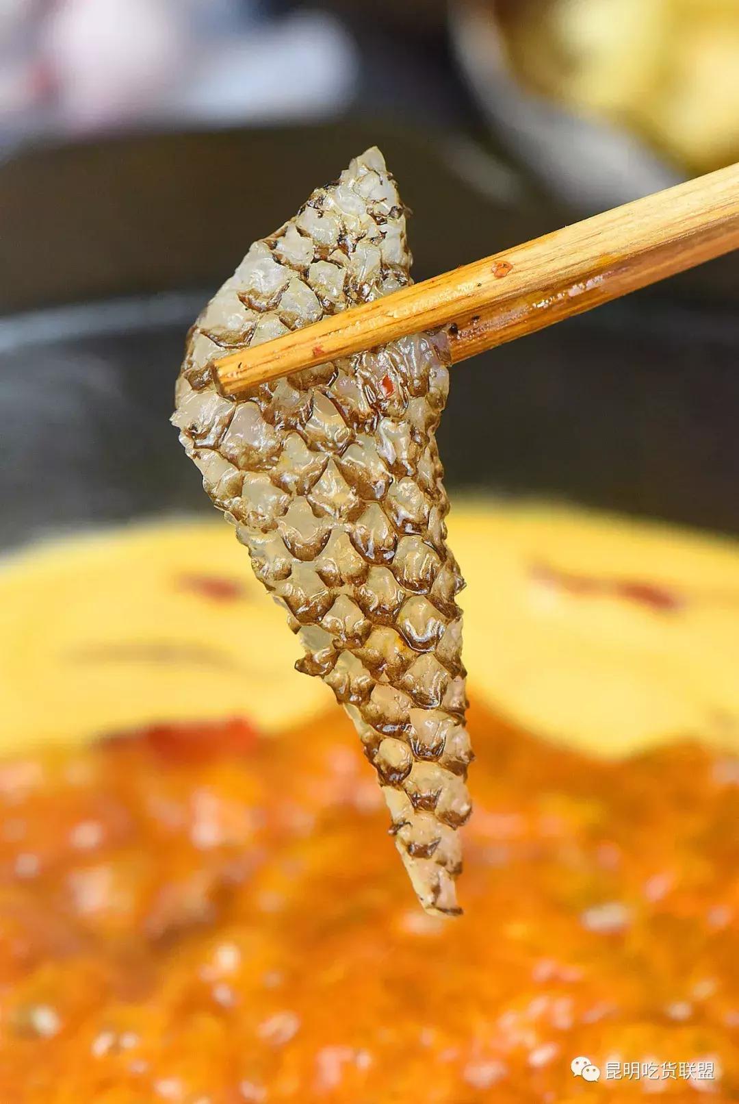 性价比高的自助火锅,昆明最便宜的鱼火锅