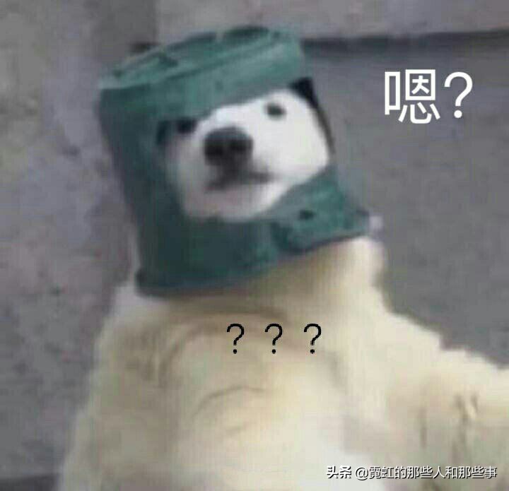 你以为日本是什么样子的,你以为的日本居酒屋