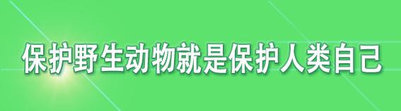 天津市宝坻区全面打响五大战役,宝坻新闻宝坻之战