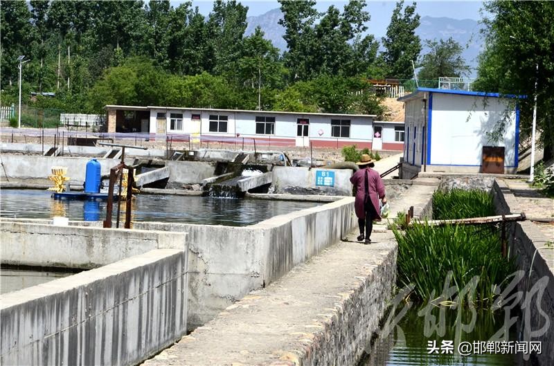 涉县索堡镇鲟鱼养殖基地,邯郸市涉县索堡镇常乐村