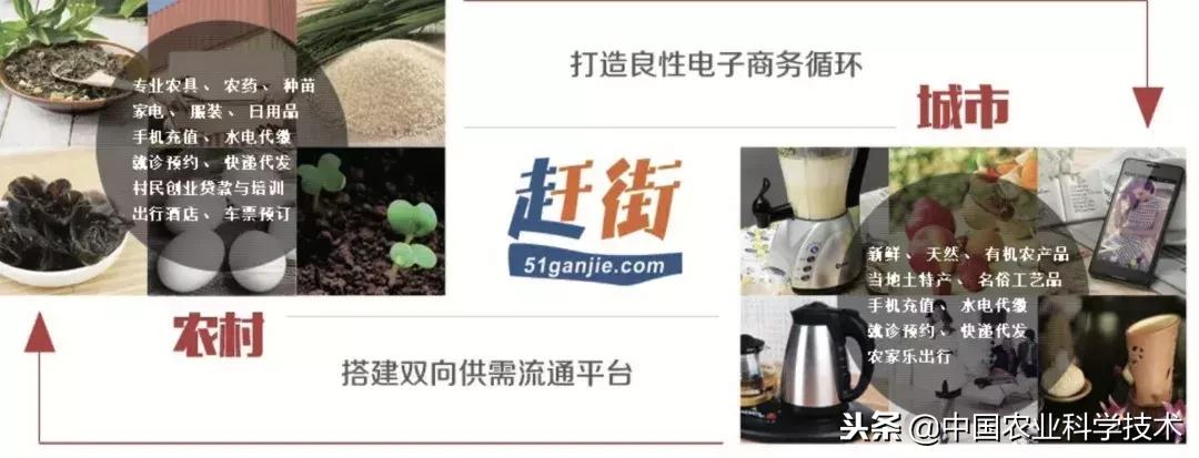 农村电商要怎么做才能有出路,怎么开始做农村电商第一步