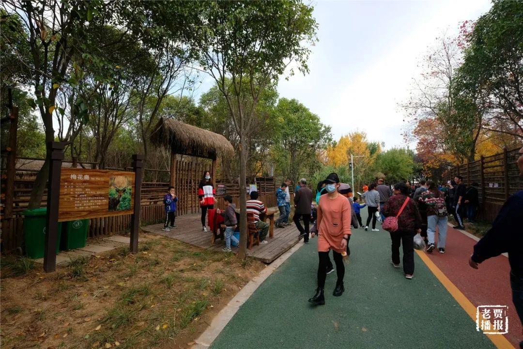 洛阳一大型网红公园免费开放,洛阳湿地公园网红打卡地