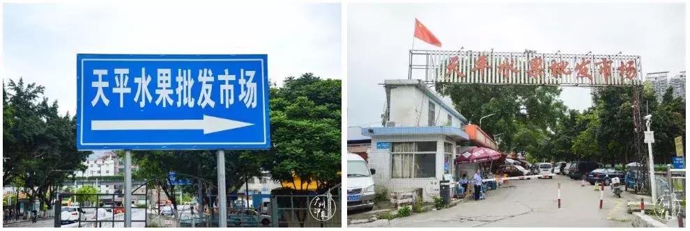 超抵食！在这些市场买水果，20块可以抱走一筐~