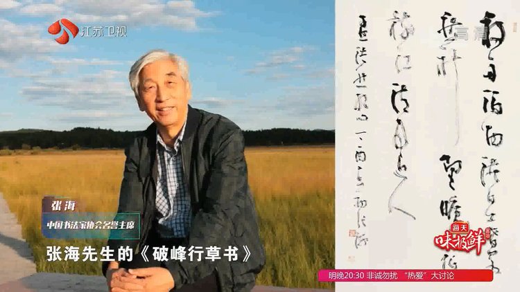 人们对张海书法如何评价,最强大脑张卓豪被淘汰