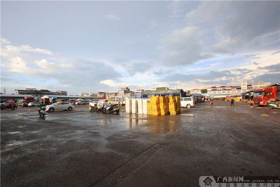 广西田阳芒果上市,海南芒果和田阳芒果