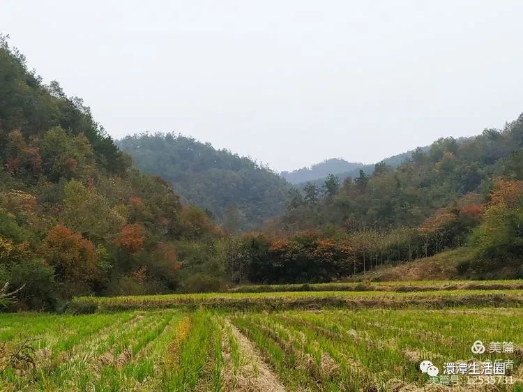 最美大浪山脚下蜂洞冲随州作者:王从伦