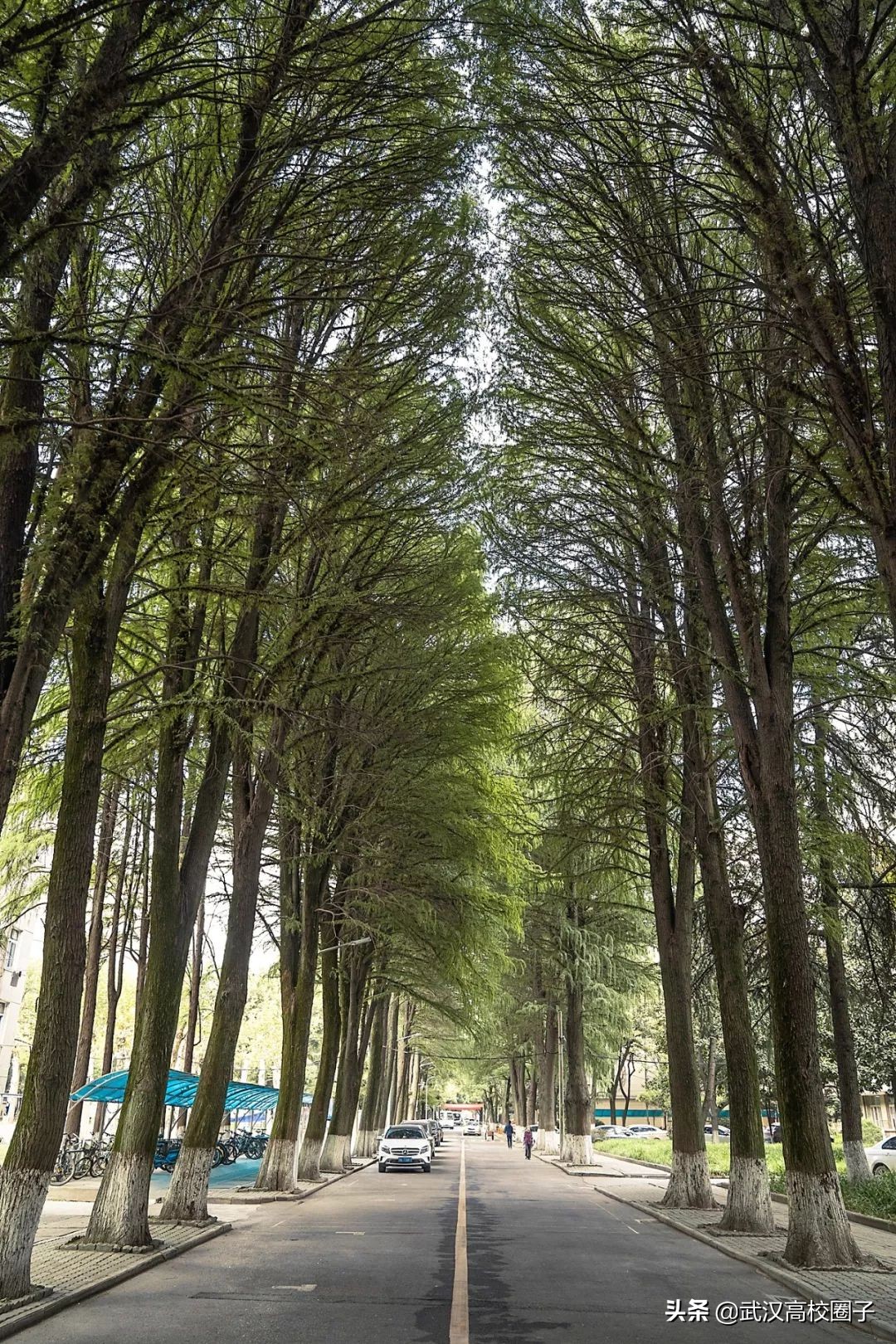 爸妈我想回家视频,爸妈我想回家了原视频