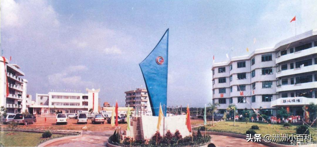 新兴县华侨中学学校介绍,新兴华侨中学历史