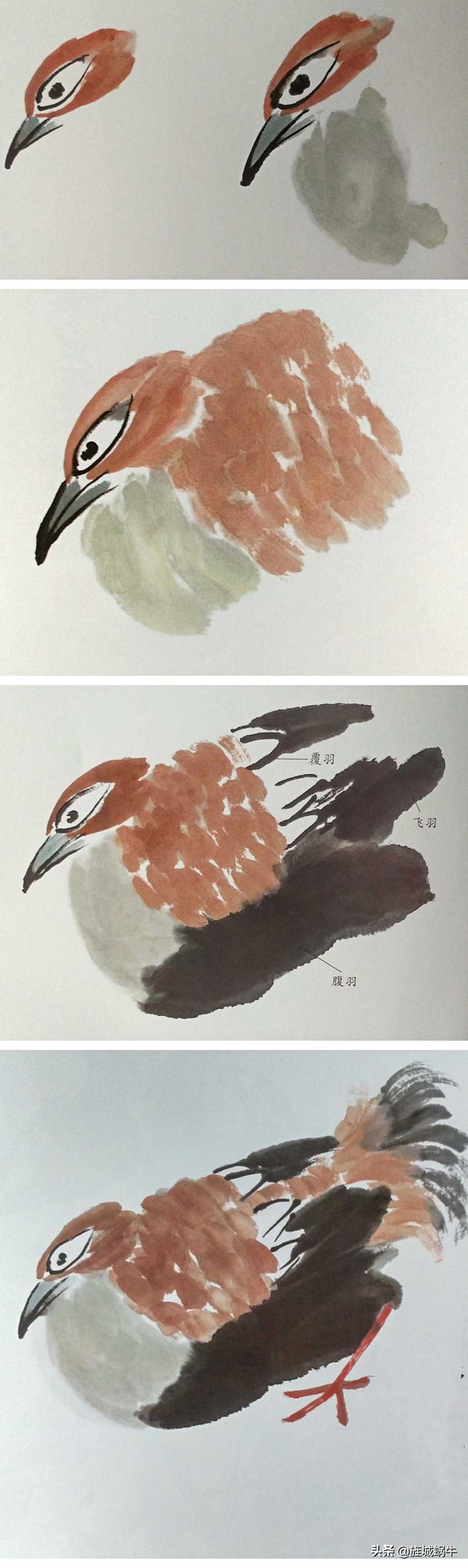 一学就会的禽鸟画法书,禽鸟的画法大全图解
