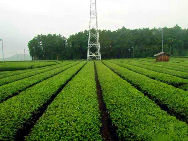 日本埼玉浦和,日本女团琦玉体育馆