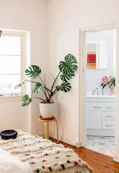 甲醛如何去除的最好方法,甲醛去除最快的方法最有效