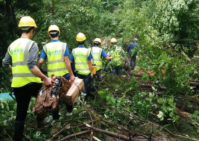 怎么解读中国移动向9914位员工授予3.06亿股股票期权？