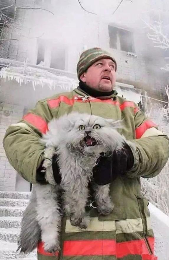 别惹我普京新传心得体会,别惹我普京新传完整版