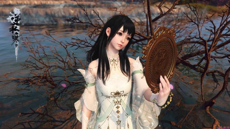 武林秘籍九阴真经,武林神功九阴真经