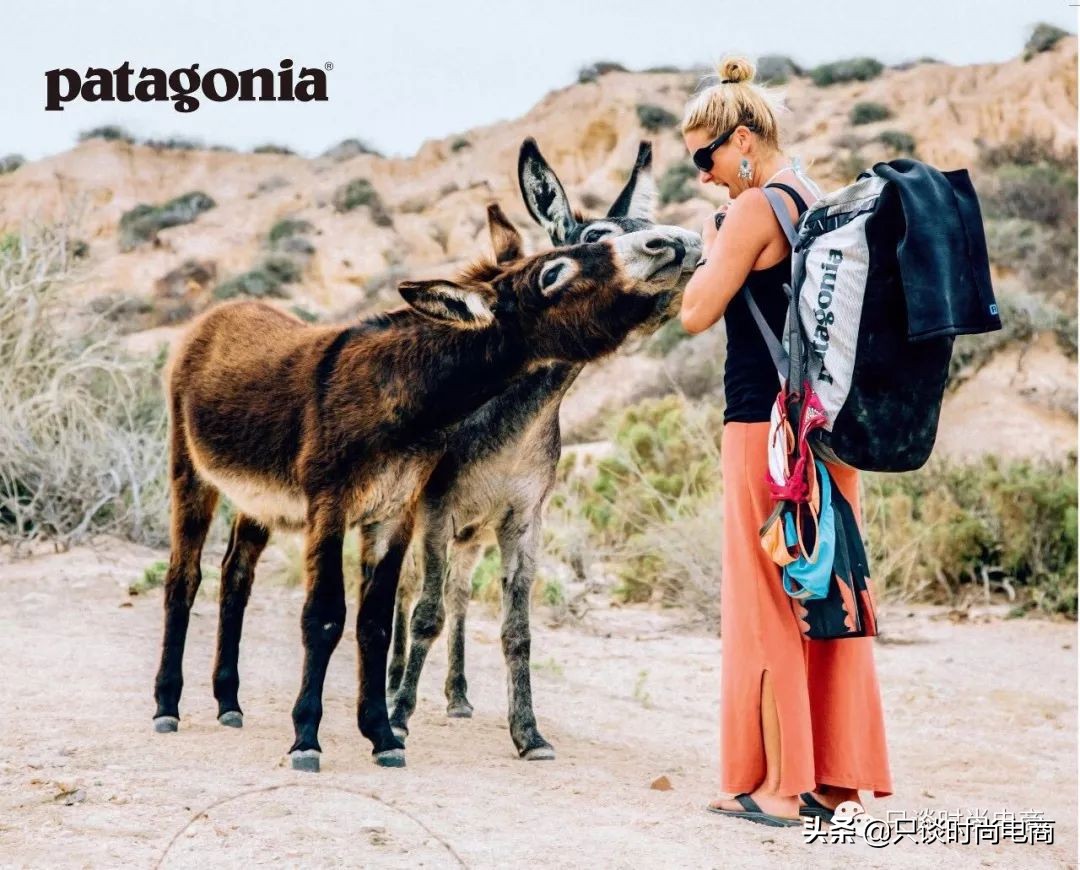 巴塔哥尼亚户外品牌logo,巴塔哥尼亚低调又奢华的户外品牌