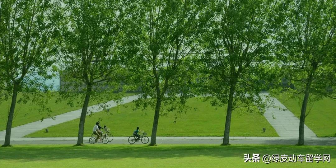 参加完高考要求演讲,参加完论坛后的总结