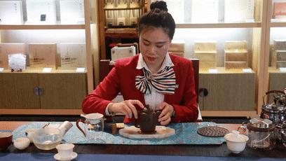 福鼎白茶还有“十不采”规定?让我们去河山有机茶园一探究竟