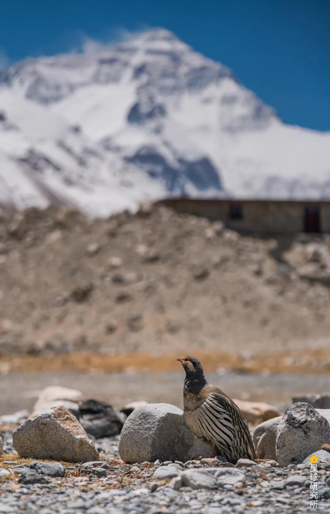 林草领域知识图谱,林草科普专业术语