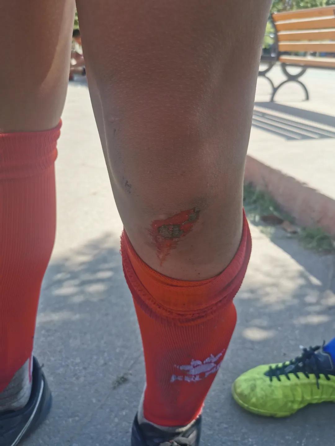 博雅少年奖,博雅学校学子风采大赛