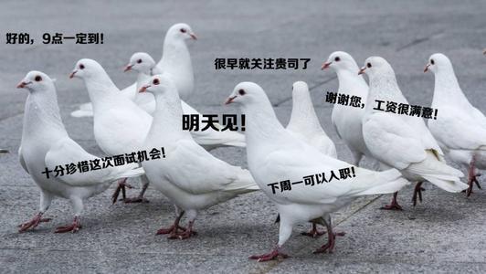 网文喵吐槽1：网文作者中的鸽子精们，诶，辰东大大怎么也在里面