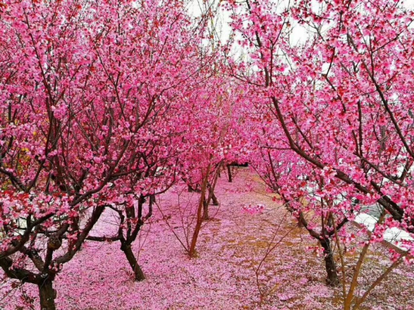 最有用的知识是关于方法的知识,怎样才算真正掌握了知识