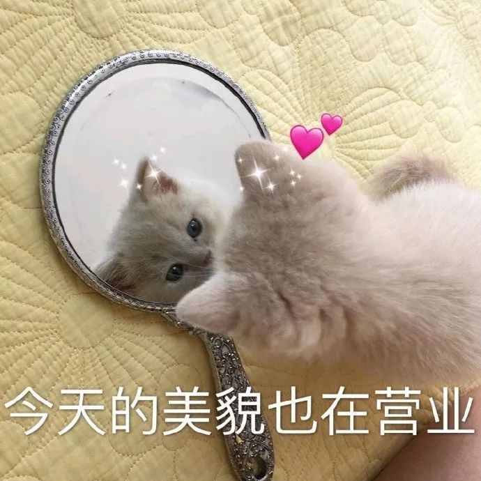 网红化妆技巧,网红化妆的方法