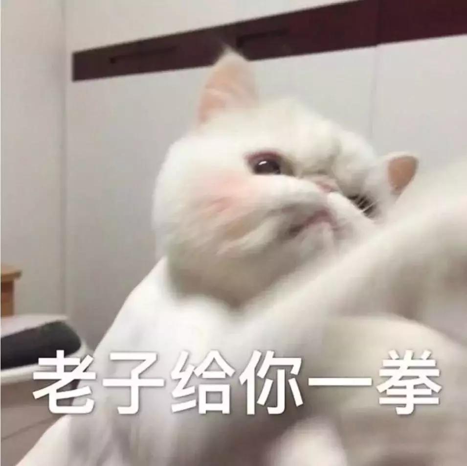 城市套路深,我求求你们不要再信这些了!