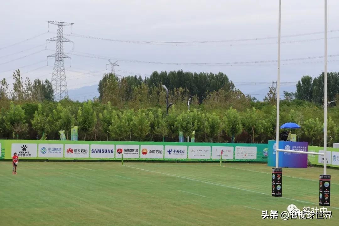 我和我的体育故事,我和运动会的故事