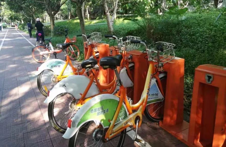 关于暂停市公共交通服务的通告,公共自行车站点暂时停用通知