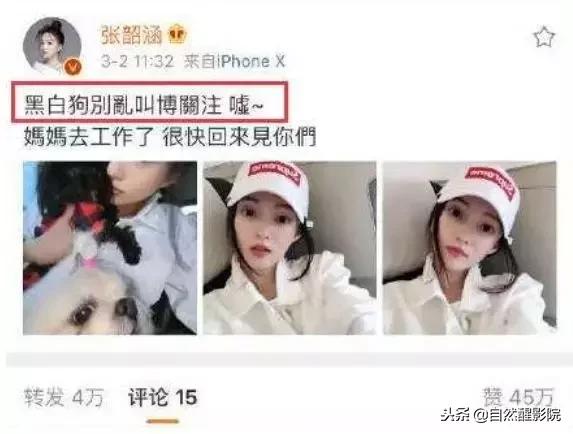 张韶涵与范玮琪的矛盾,张韶涵和范玮琪事件