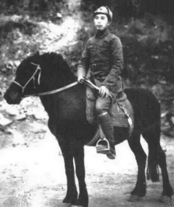 侄子毛楚雄牺牲，毛*东泽**托人对其外婆周陈轩说：孩子国外学习去了