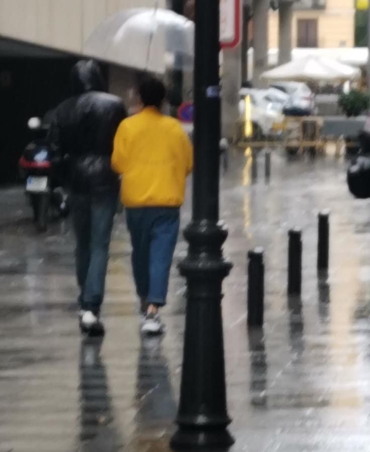 杨烁与王黎雯的婚姻状况,杨烁夫妻出席活动