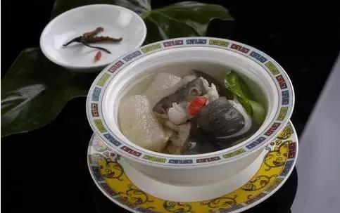 长江白鲟世界最大淡水鱼,中华鲟娃娃鱼