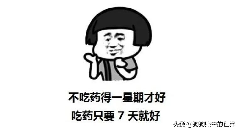 狗狗感冒好了没几天又感冒了,狗狗感冒好了之后还是没精神