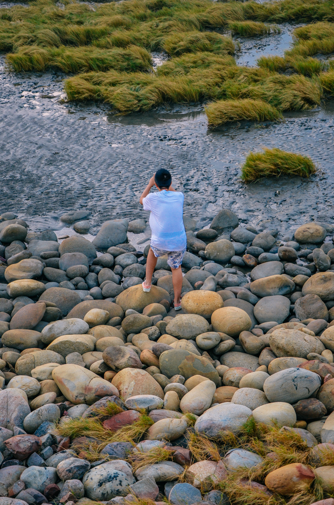 地方叫高美湿地,绝美滩涂,吸引了无数人来打卡日落美景