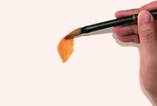 国画牡丹和石头的画法图片,初学国画牡丹花头画法图解