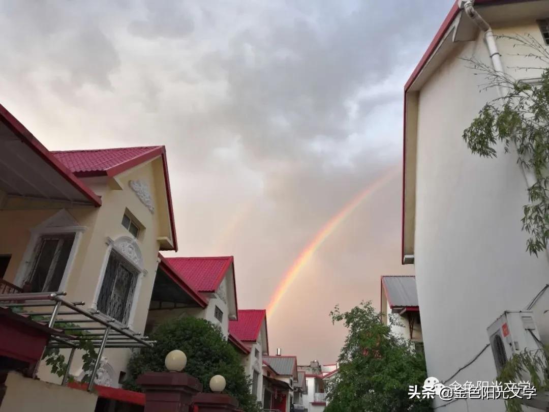下雨了水来了,下雨了下雨了下雨了歌词试听