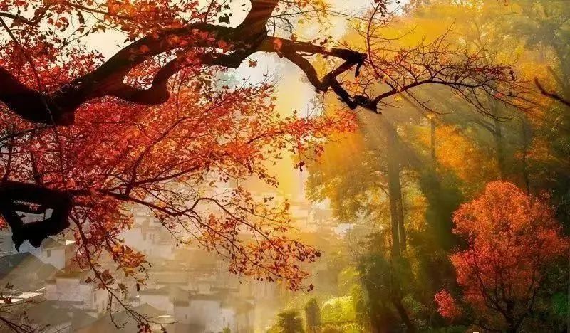 婺源本地人眼里婺源的游玩攻略,婺源景区详细攻略