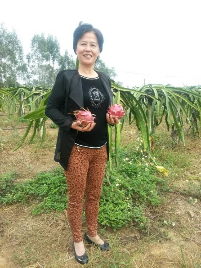 广西野猪“皇后”刘莹的致富经
