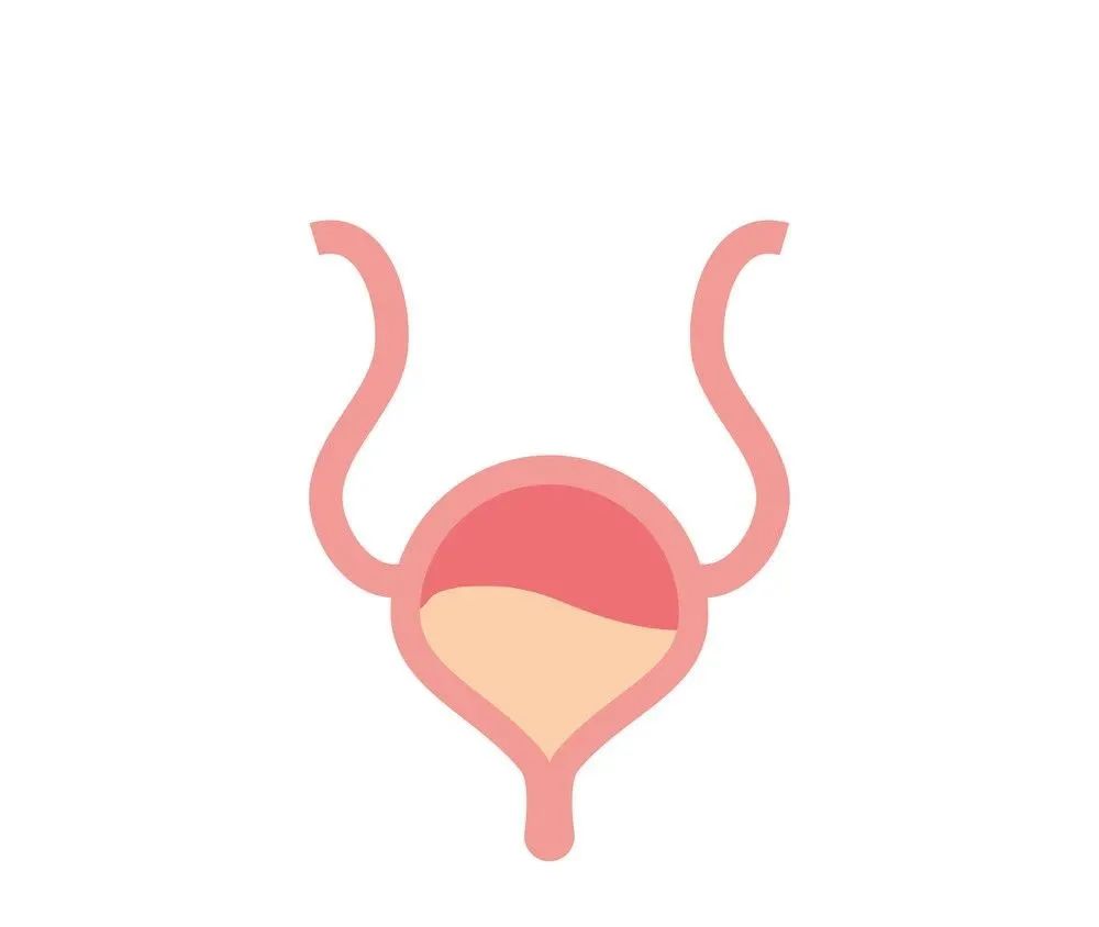 憋尿太久膀胱会不会破,得膀胱过度症憋尿能憋多久