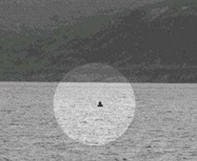 加拿大被视频记录下的水中魔鬼，是水中巨蟒还是史前怪兽？