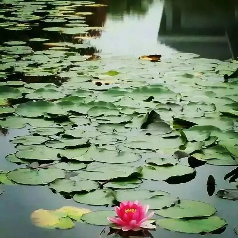 低调的南京图片,低调的南京