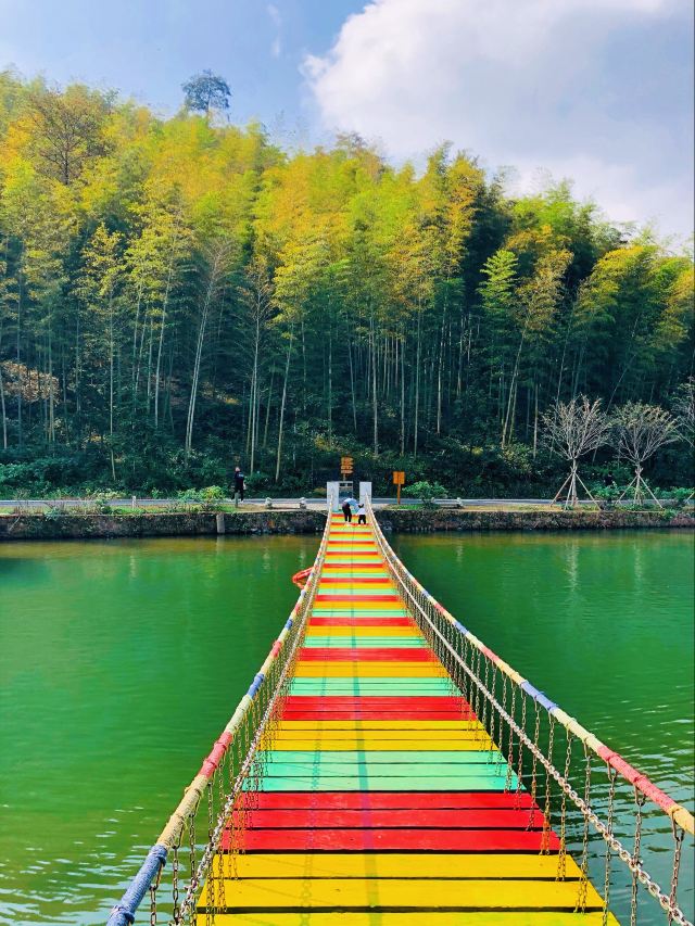 宜兴竹海自然风景图片,清新的竹林风景图片