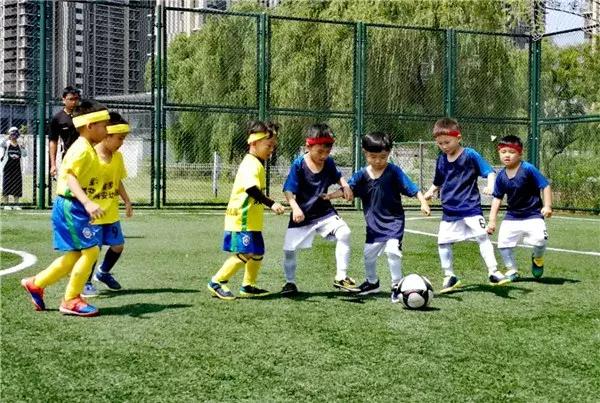 飞扬足球,飞扬足球预测