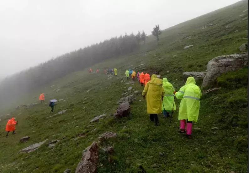 风里来雨里去上海,风里来雨里去重庆