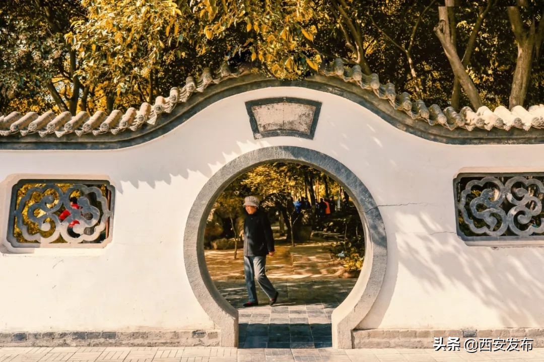 西安赏秋,西安赏秋红叶好去处