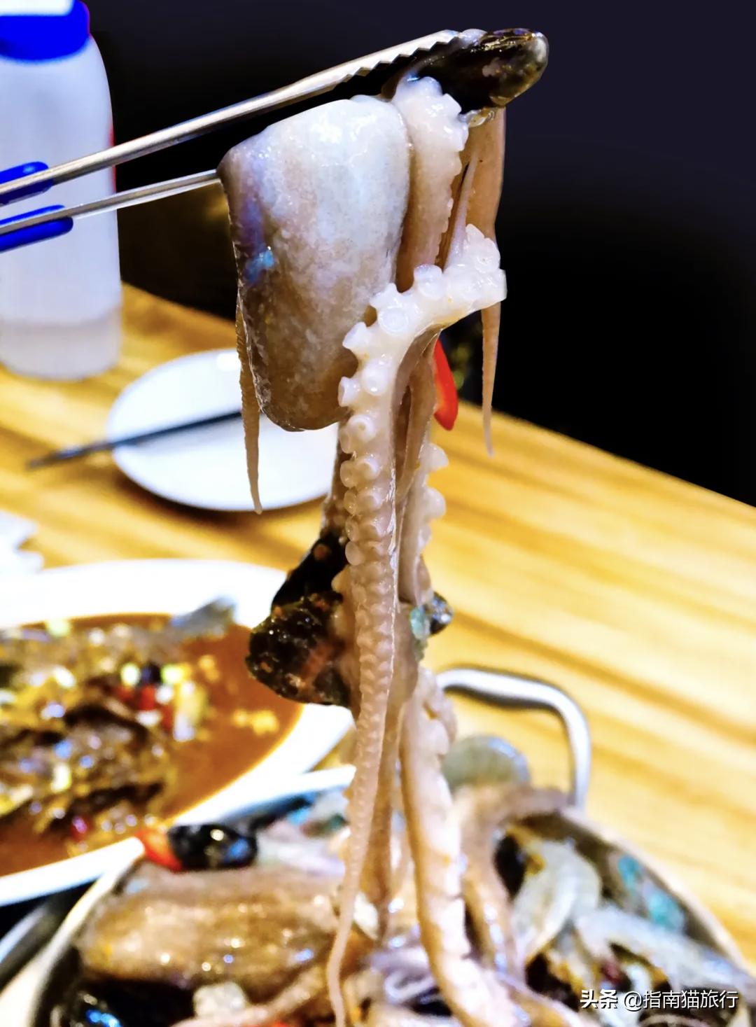 夏天去哪个海边吃海鲜最合适,适合吃货去的海边城市