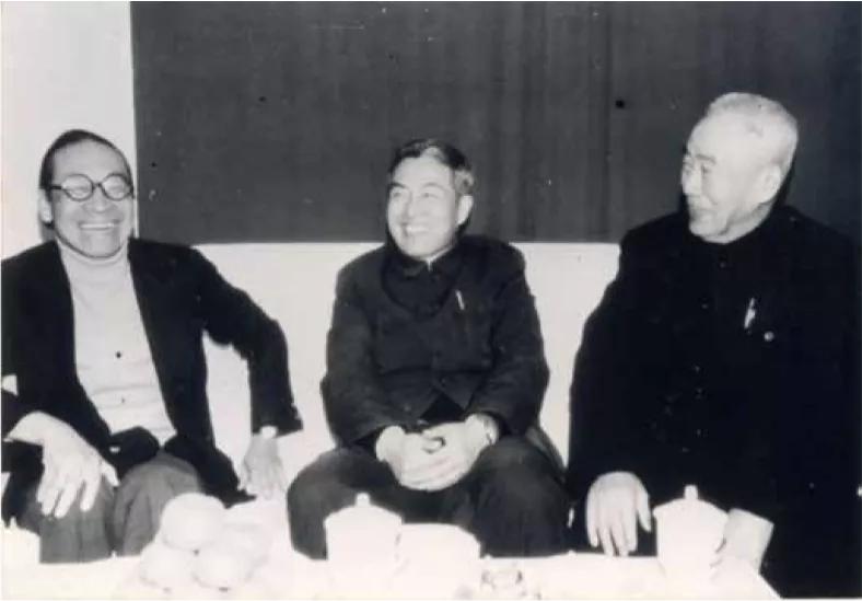 杨廷宝先生诞辰一百周年纪念文集,杨廷宝故居纪念馆